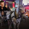 De Blasio Turned Down Liam Neeson's Carriage Horse Stable Tour